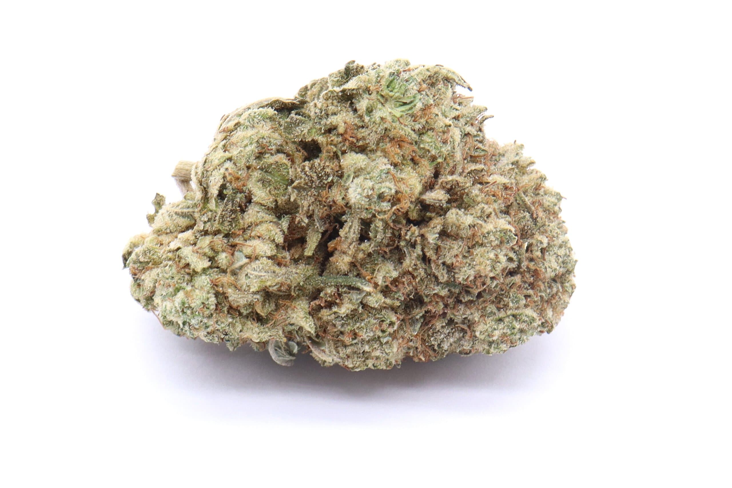Black Dragon Strain Flower - Sativa Dominant Hybrid
