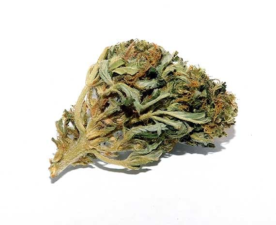 Haze Berry Strain Flower - Sativa