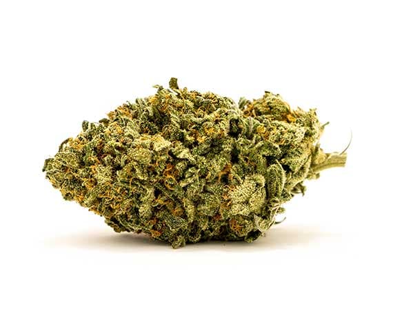 Blue Dream Strain - Sativa Dominant Hybrid (Wholesale)