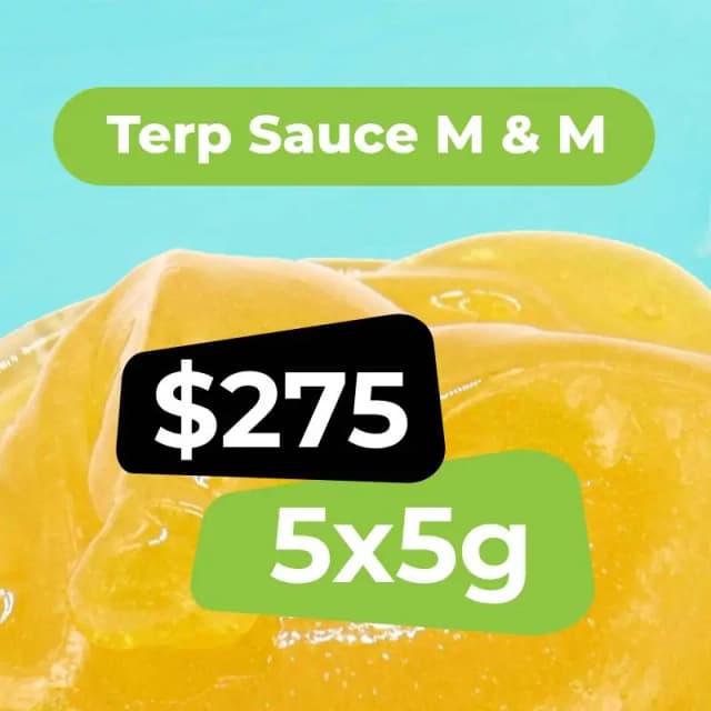Terp Sauce Bundle - 25g