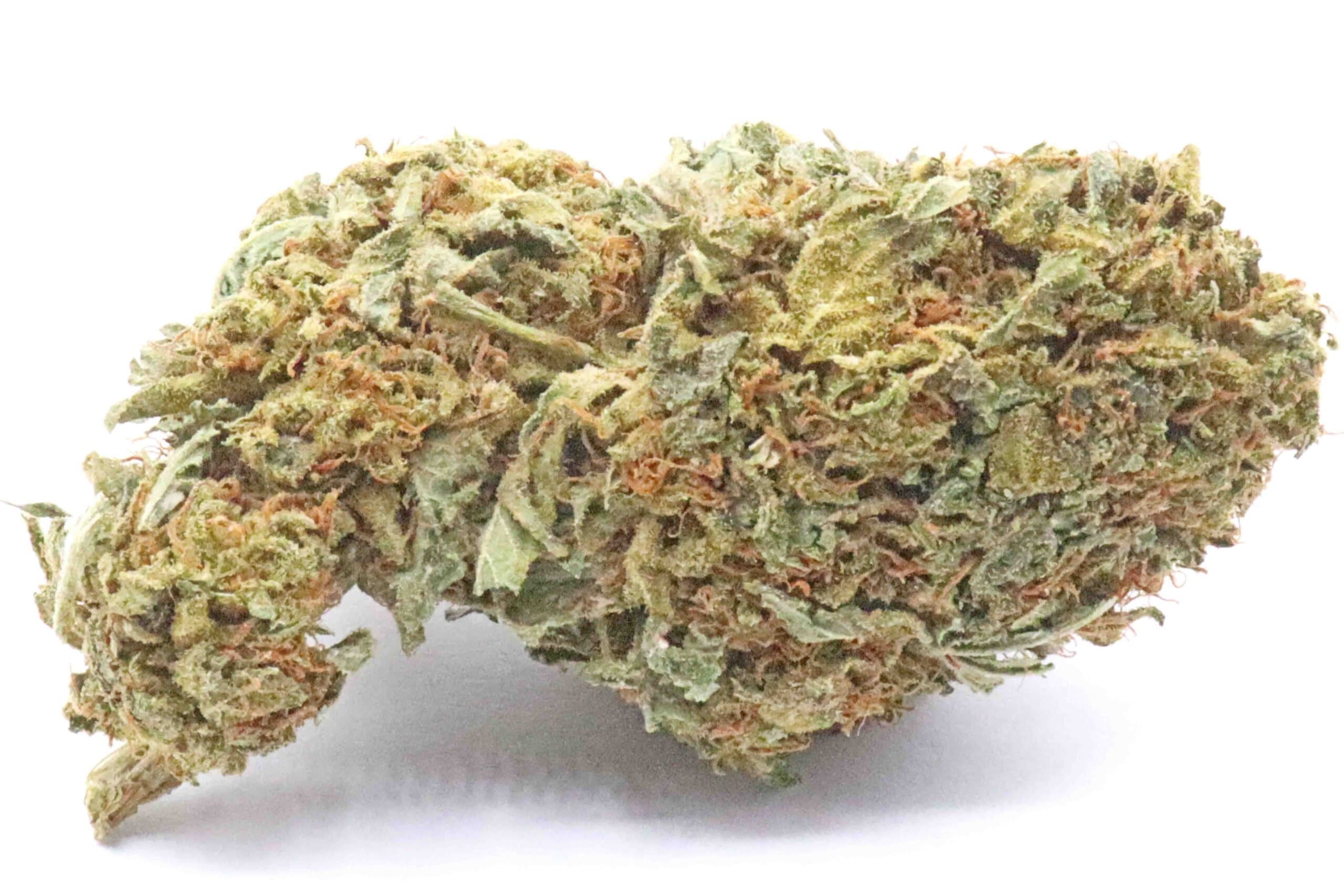 OG Dog Strain Greenhouse Flower - Indica Dominant Hybrid