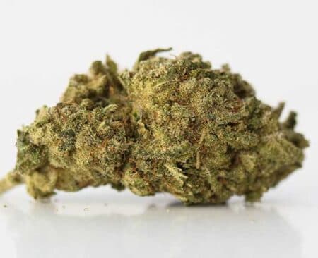 Zkittlez Strain - Indica Dominant Hybrid (Wholesale)
