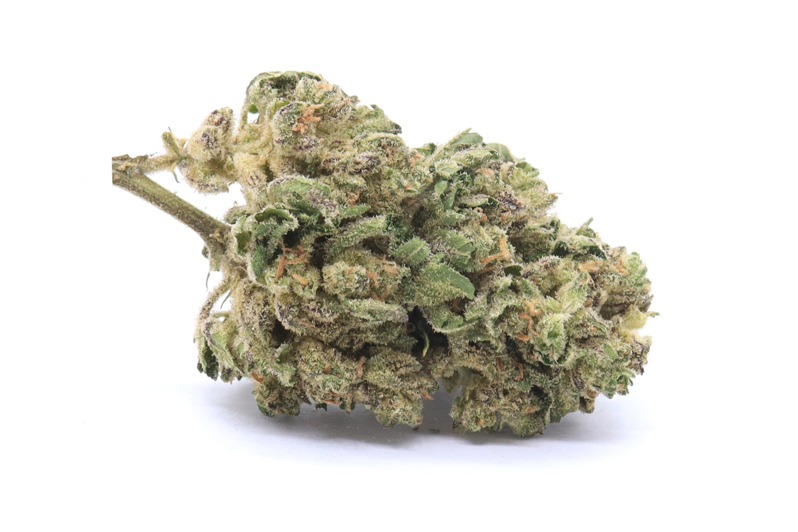 Mango Sapphire Strain Flower - Indica Dominant Hybrid