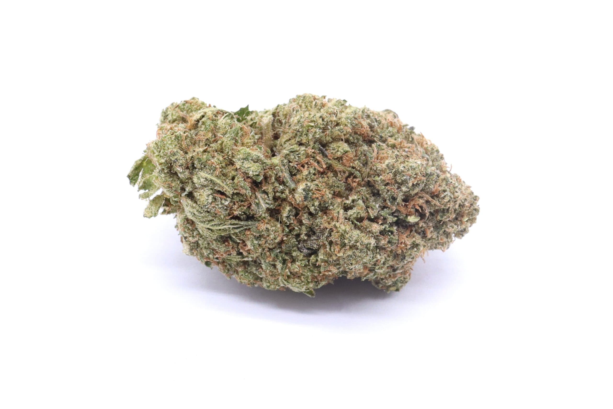 Back Forty Liquid Imagination Strain Flower - Hybrid