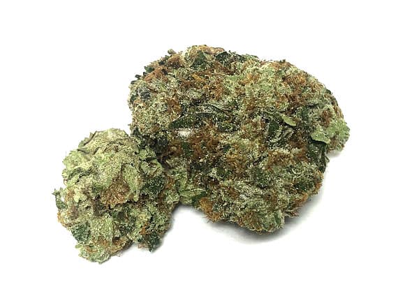Lemon Sorbet Strain (5 Star) - Indica Dominant Hybrid (Wholesale)