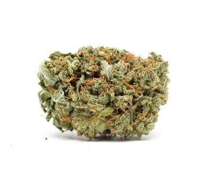 Cannatonic Strain - Hybrid (Wholesale)