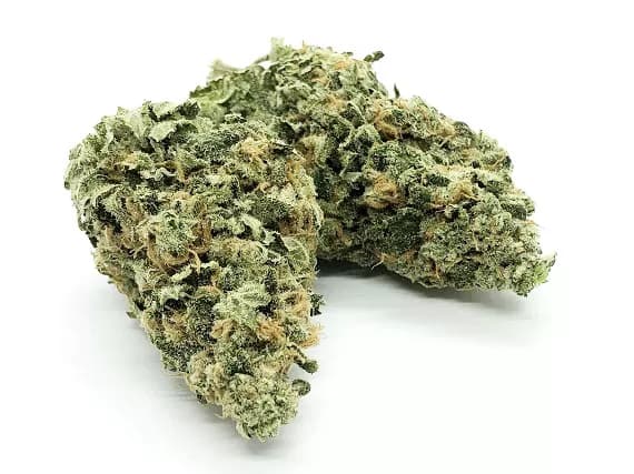 Maui Wowie Strain - Sativa Dominant Hybrid (Wholesale)