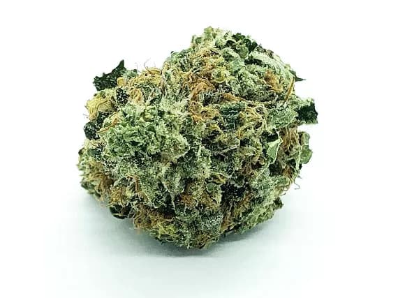 Red Headed Stranger Strain - Sativa Dominant Hybrid (Wholesale)