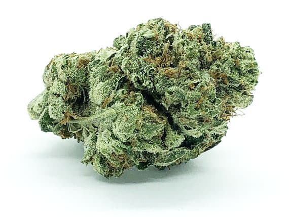 Middlefork Strain - Indica Dominant Hybrid (Wholesale)
