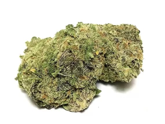 Grape God Strain - Sativa Dominant Hybrid (Wholesale)