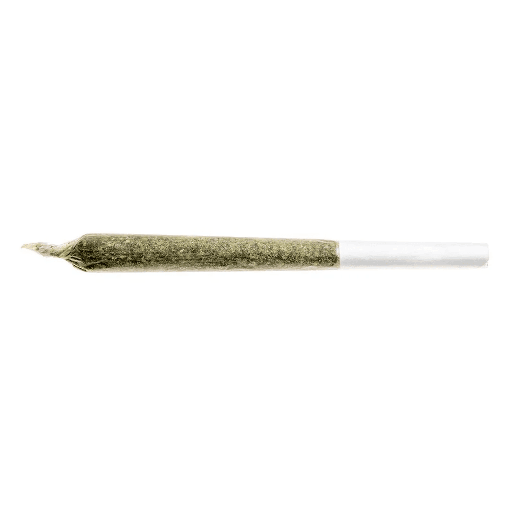Fuego Sunny Daze Pre-Rolls - Sativa Dominant Hybrid
