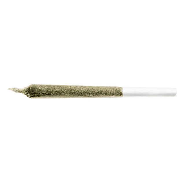 Fuego Sunny Daze Pre-Rolls - Sativa Dominant Hybrid