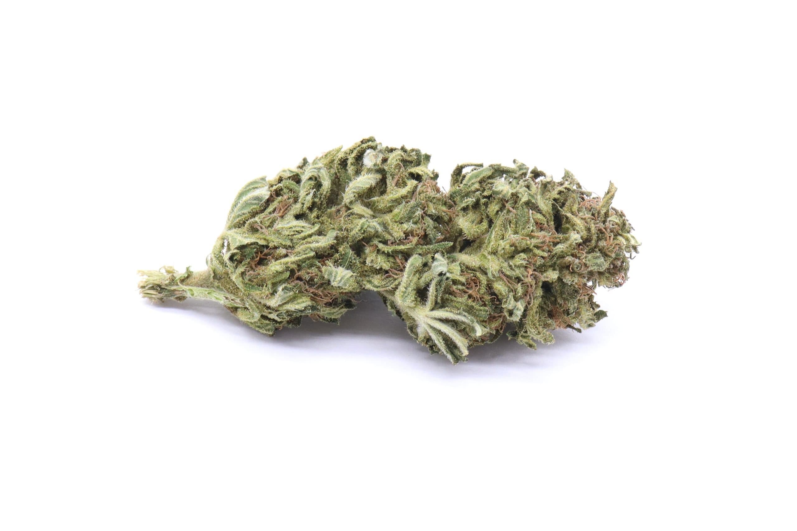 Rockbud Strain Greenhouse Flower - Indica Dominant Hybrid