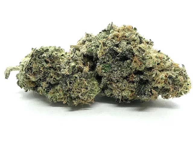 Mazar Strain Flower - Indica Dominant Hybrid