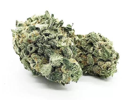 9 Pound Hammer Strain - Indica Dominant Hybrid (Wholesale)