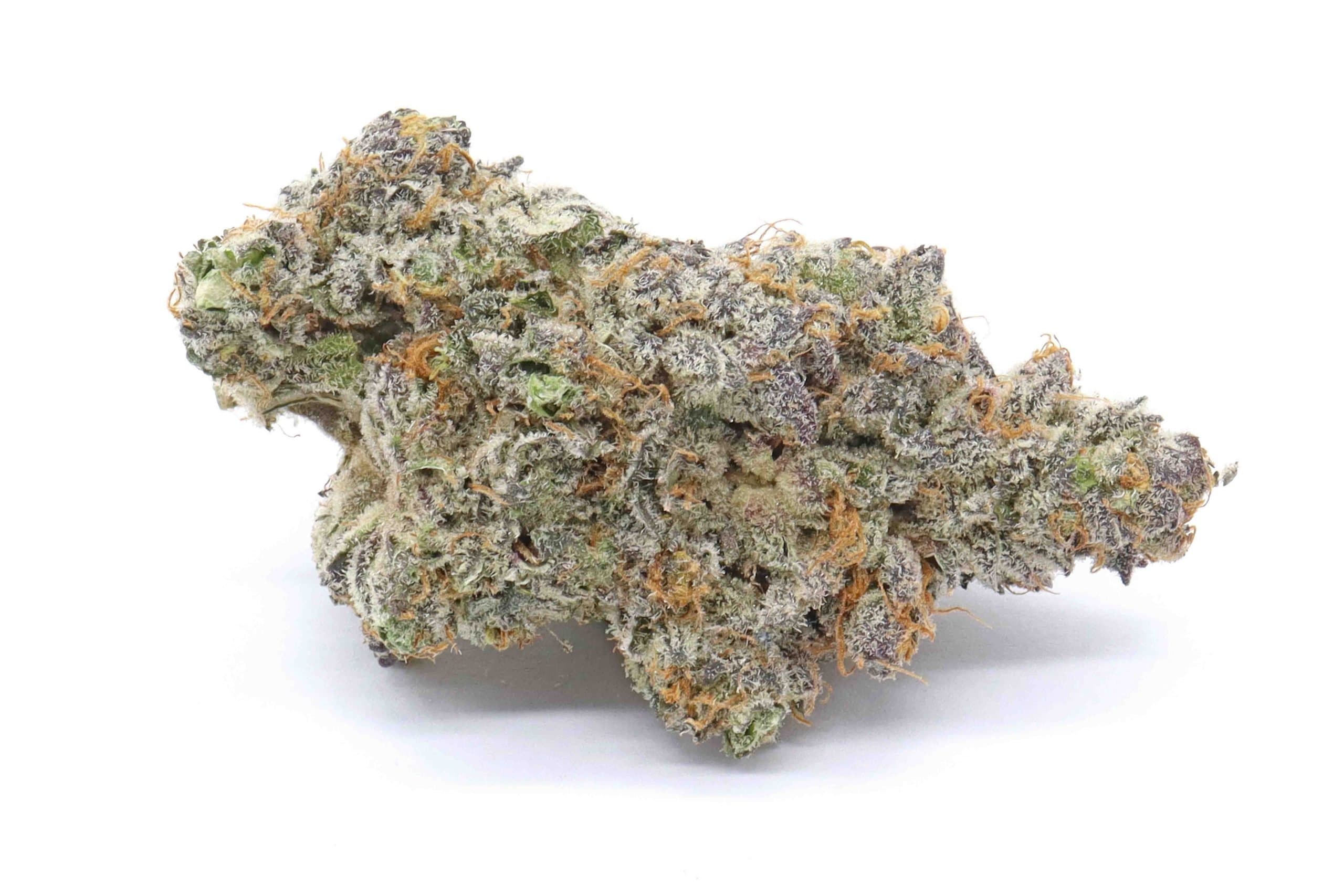 Animal Sherbert Strain Flower - Indica Dominant Hybrid