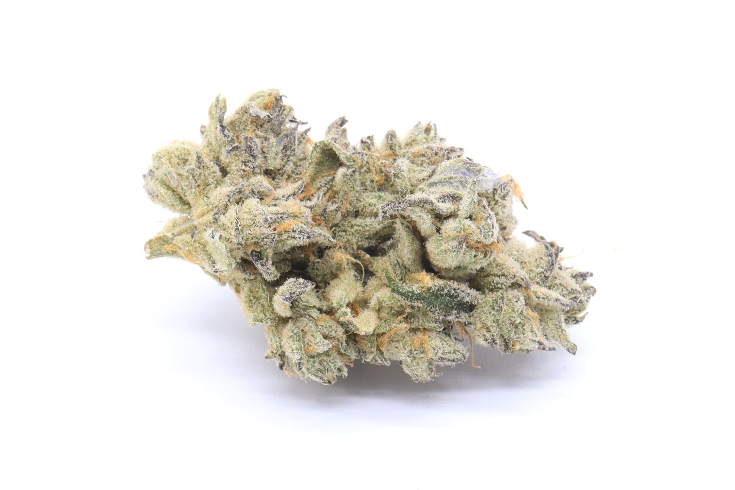 Hawaiian Lion Strain Flower - Sativa Dominant Hybrid