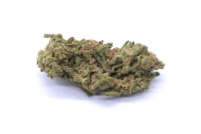 Laughing Buddha Strain Flower - Sativa Dominant Hybrid