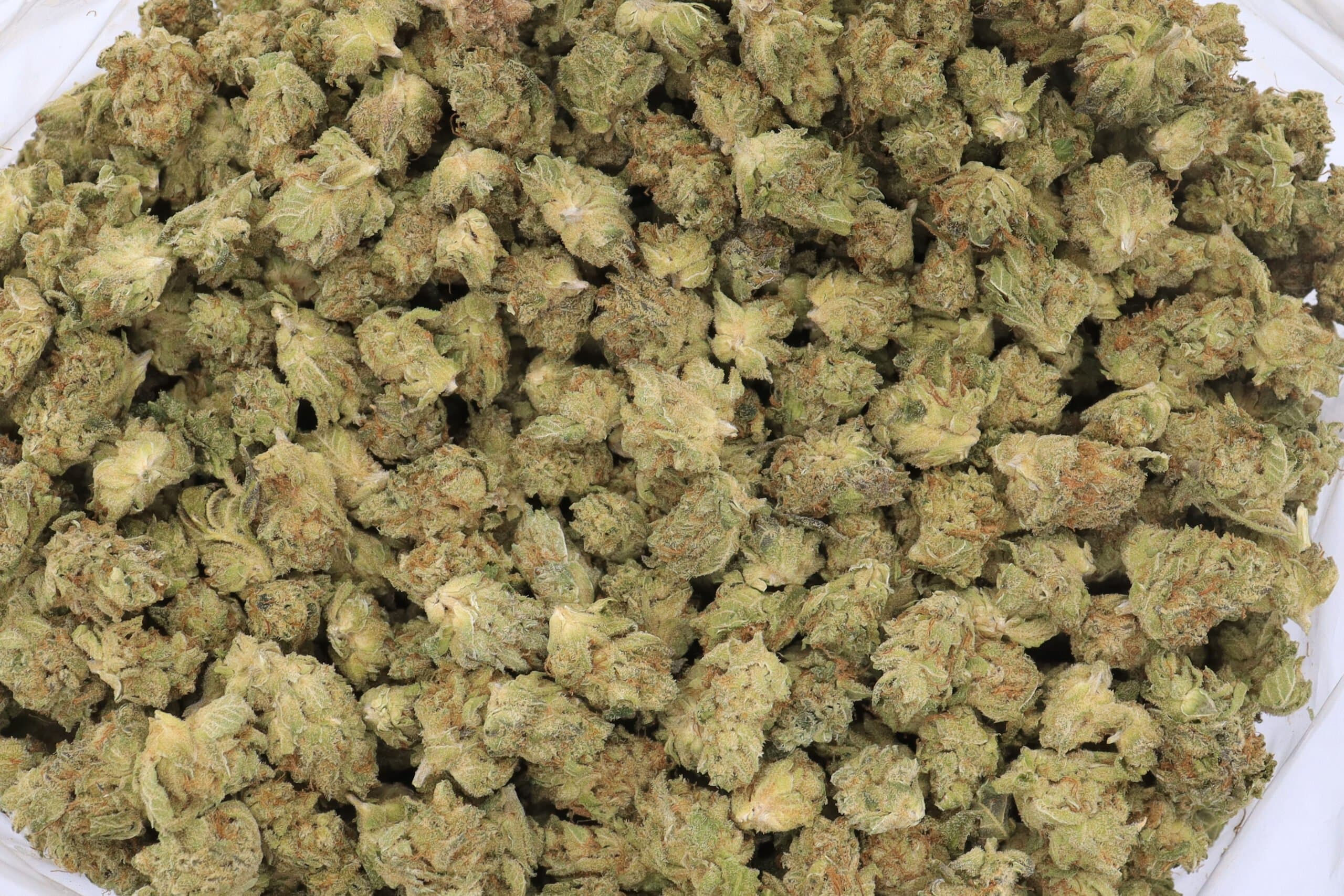 Bruce Banner Strain Flower - Sativa Dominant Hybrid