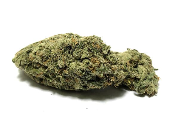 Formula 1 Strain (5 Star) - Hybrid (Wholesale)