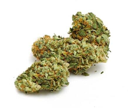 Hindu Kush Strain Flower - Indica