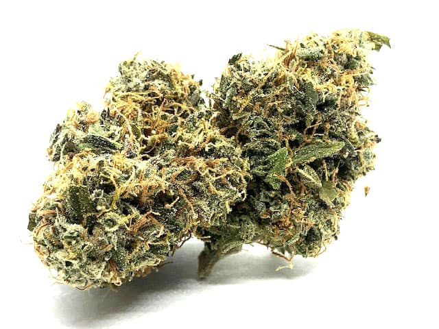 Blue Magoo 9 Strain Flower
