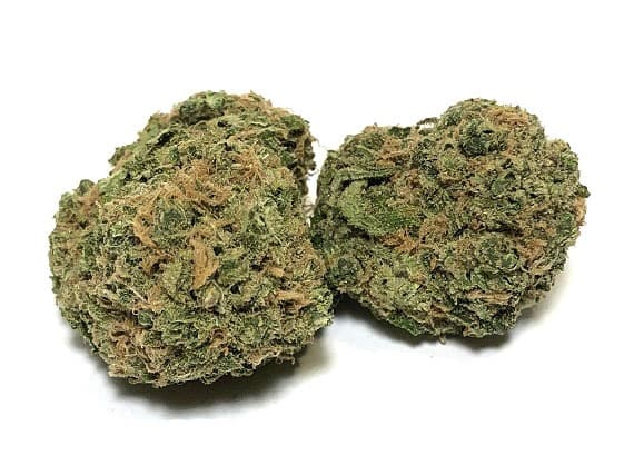 Holy Grail Strain - Hybrid (Wholesale)