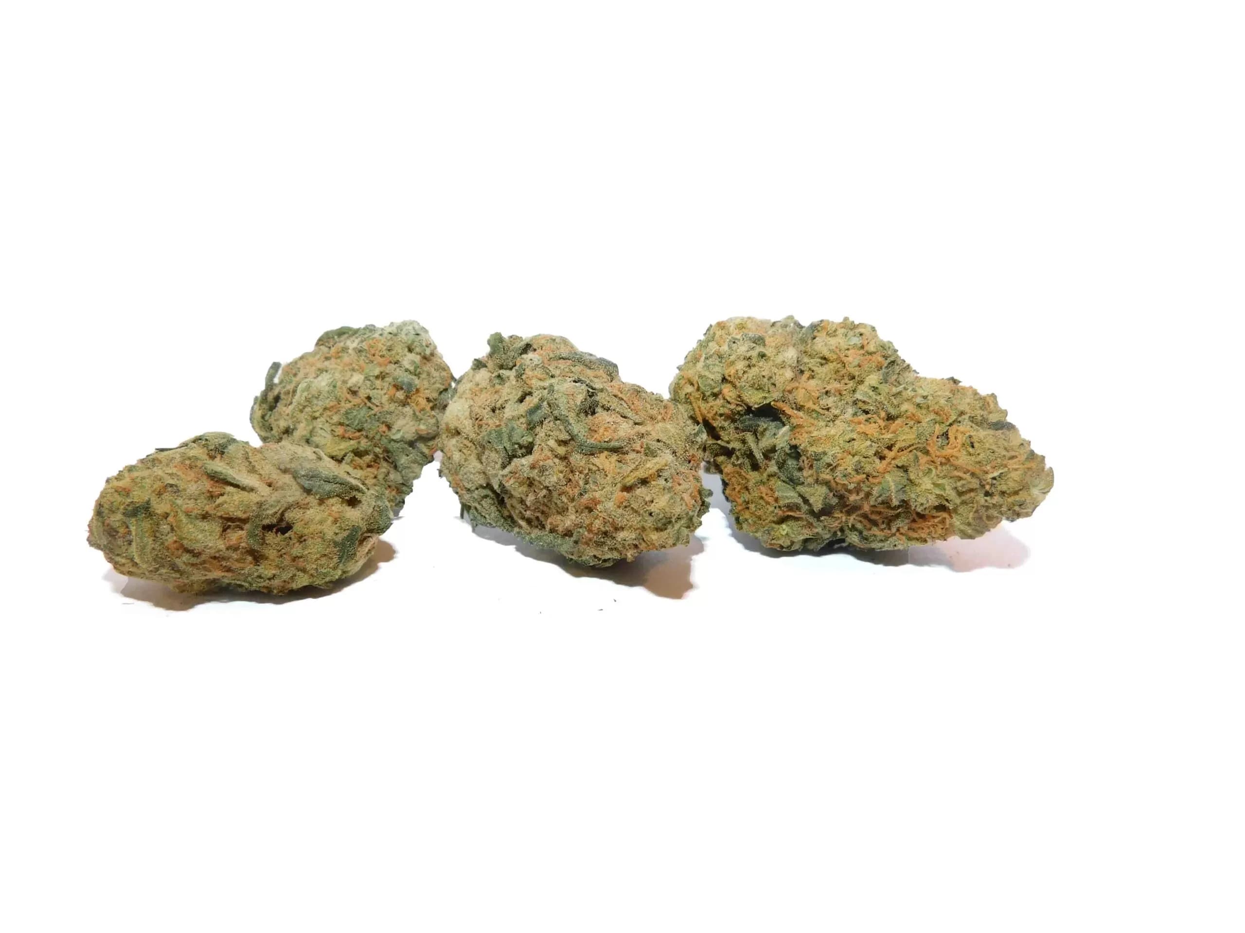 Rolls Choice Strain - Hybrid Flower