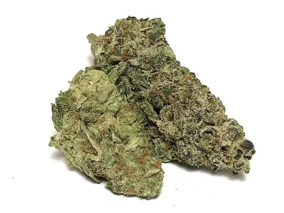 Duke Nukem Strain - Sativa Dominant Hybrid (Wholesale)