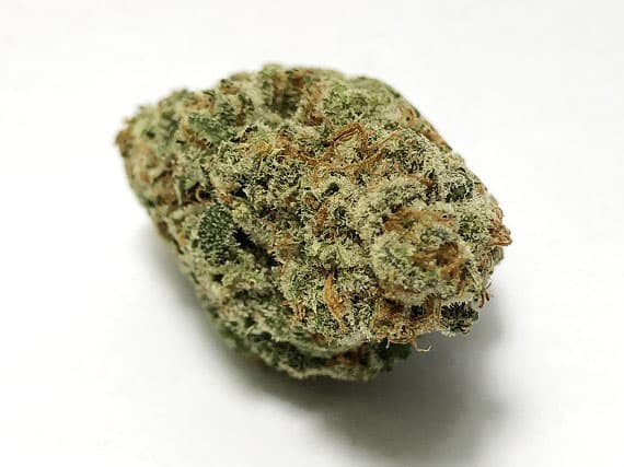 Raspberry Hashplant Strain (5 Star) - Indica Dominant Hybrid (Wholesale)