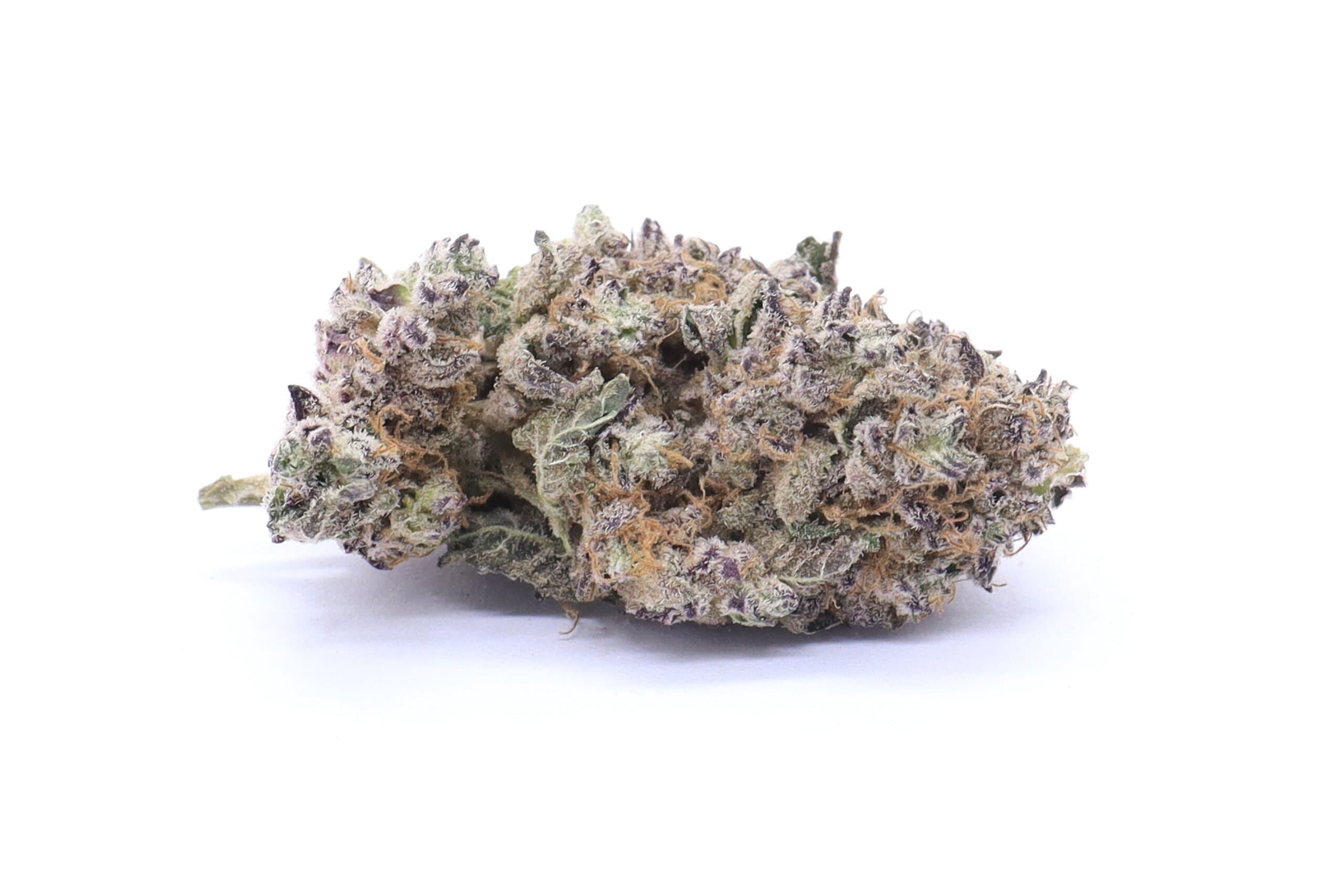 Platinum Purple Cookies Strain Flower - Hybrid