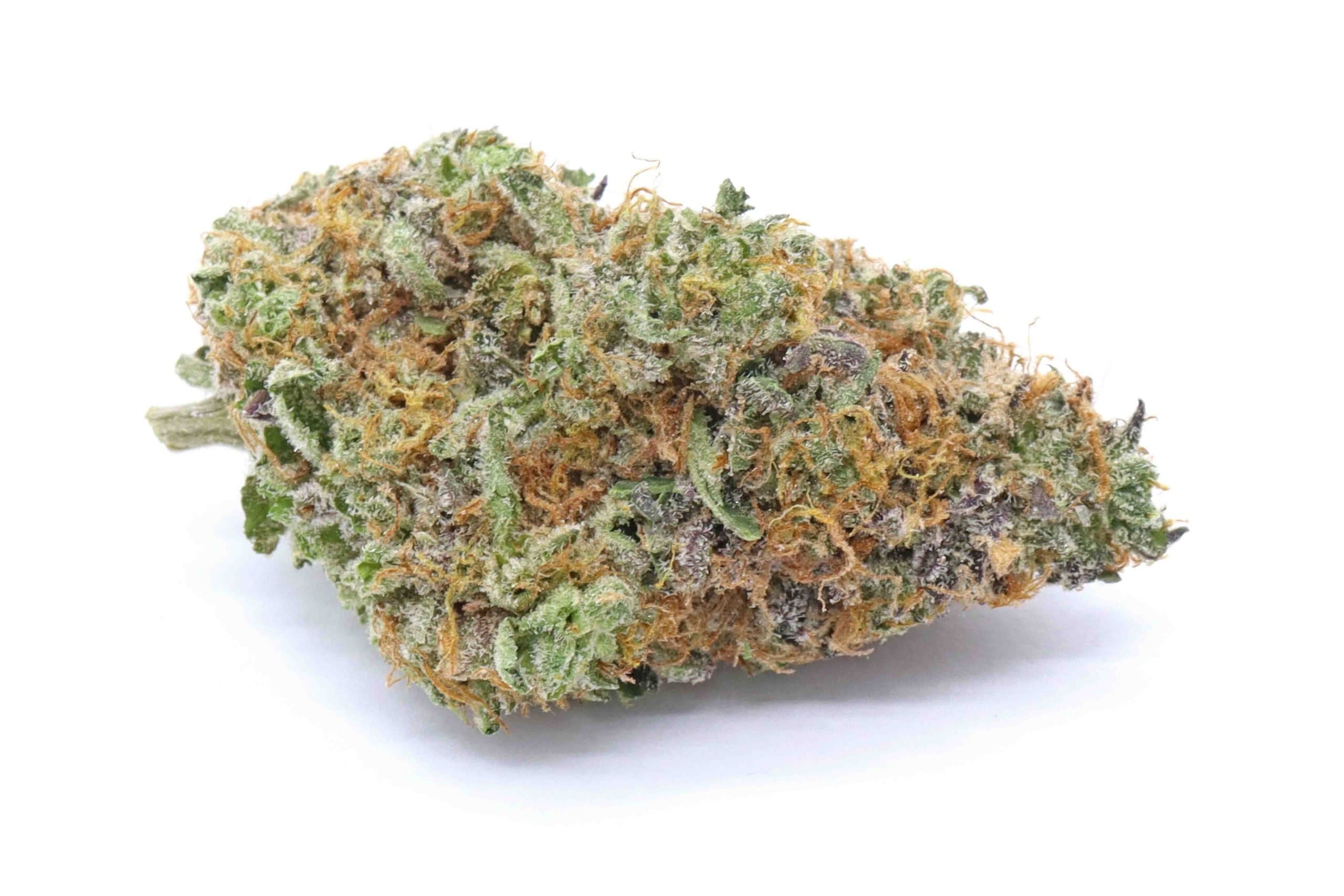 Ice Cream Strain Flower - Indica Dominant Hybrid