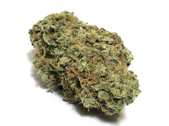 Blue Widow Strain - Hybrid (Wholesale)
