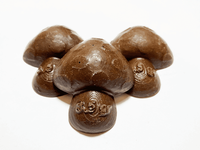 3.5 Gram Psilocybin Chocolate Mushroom
