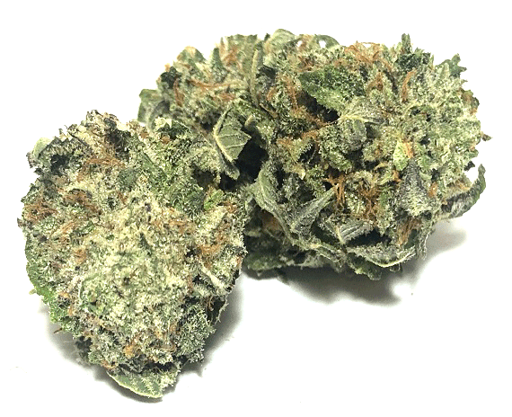 Chemnesia Strain - Sativa Dominant Hybrid (Wholesale)