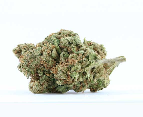 Skywalker OG Strain - Indica Dominant Hybrid (Wholesale)