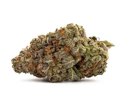 Mango Kush Strain - Indica Dominant Hybrid (Wholesale)