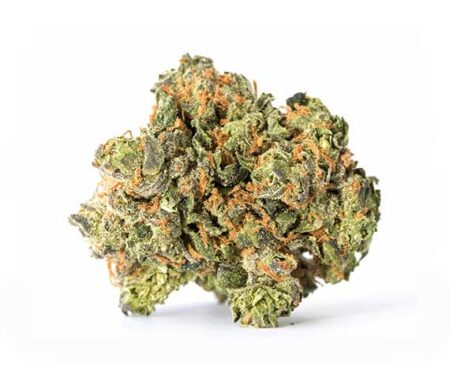 Herijuana Strain - Indica Dominant Hybrid (Wholesale)