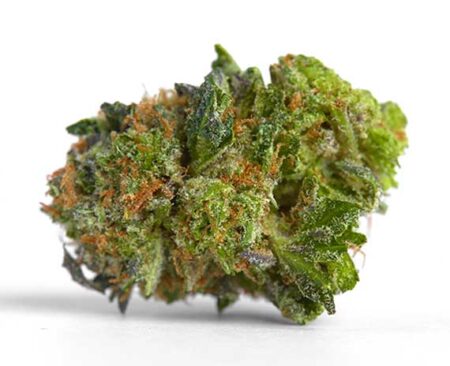 Headband Strain - Indica Dominant Hybrid (Wholesale)