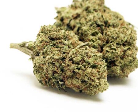 Ingrid Strain - Indica Dominant Hybrid (Wholesale)