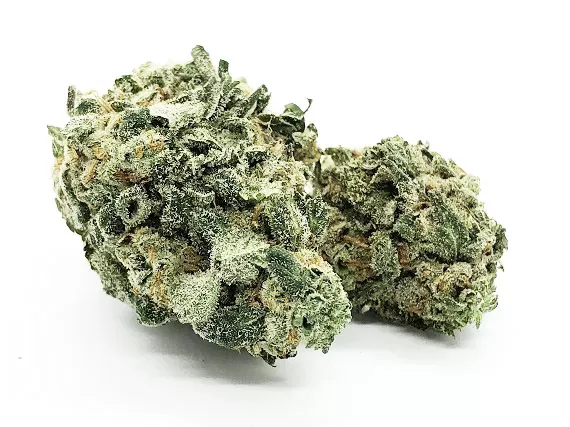 9 Pound Hammer Strain - Indica Dominant Hybrid (Wholesale)