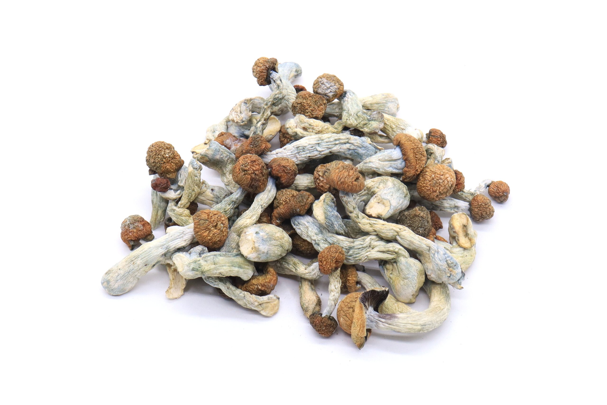 Melmac Mushrooms