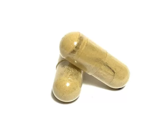 100mg Psilocybin/25mg Pure CBD Isolate/100mg Lions Mane