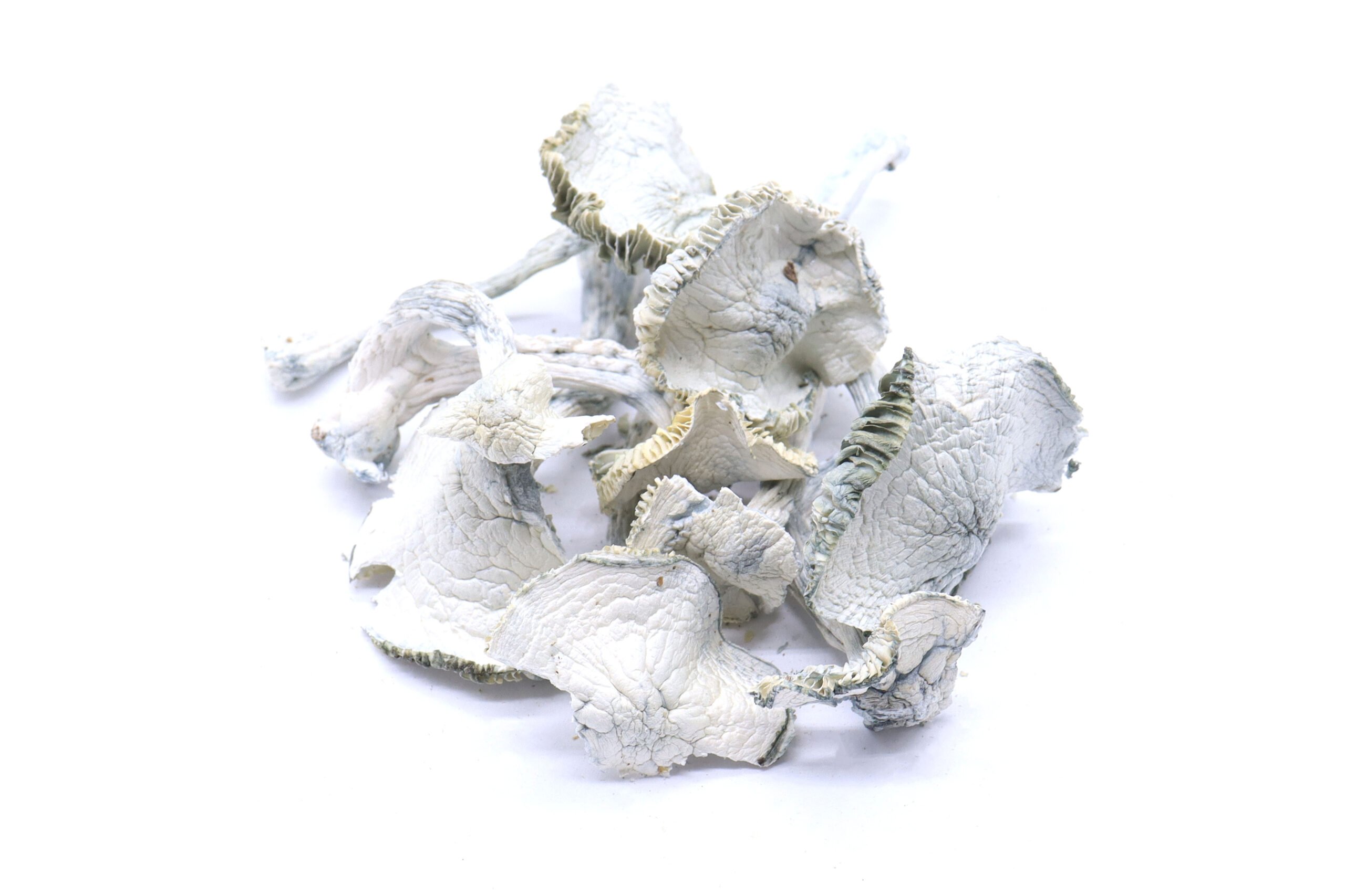 Albino Jedi Mind Fuck Mushrooms