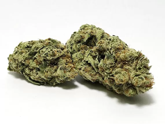 Nepali Temples Strain Flower (5 Star) - Hybrid