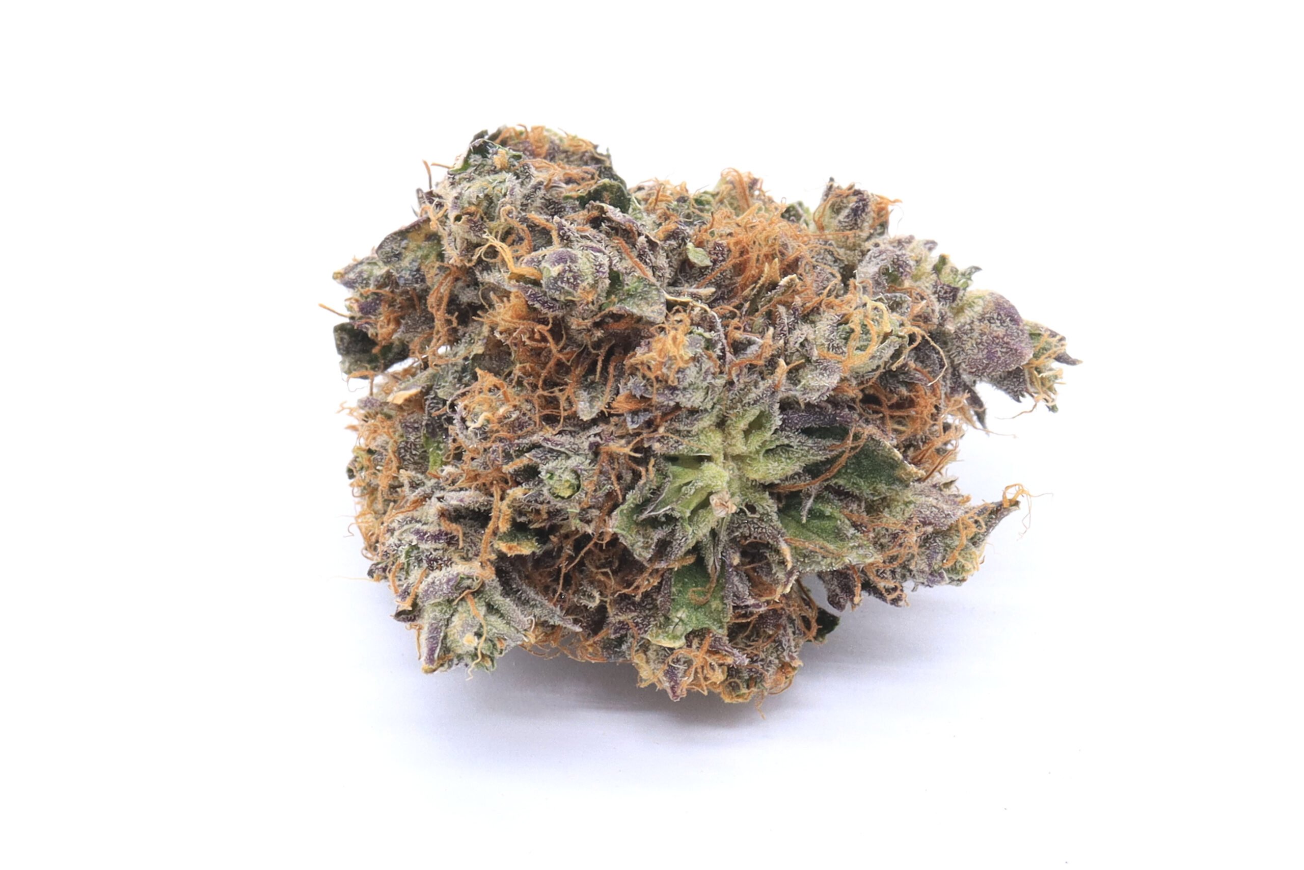 Animal Cookies Strain Flower - Indica Dominant Hybrid